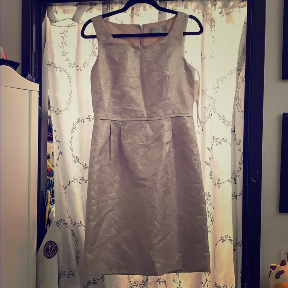 Tea party or special occasion dress